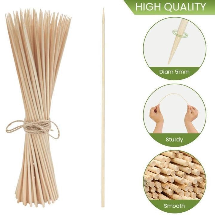 Eco King Barbeque Bamboo Sticks Disposable Barbecue Fruit Wood Sticks Barbecue Party Bundle