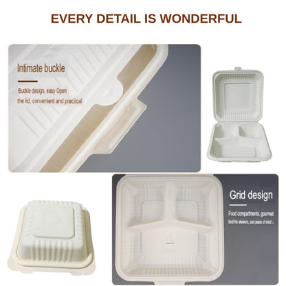 Eco King Disposable Cornstarch Lunch Box Sustainable Compostable Food Container